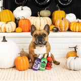 Spooky Brew Halloween Bottle Dog Toy