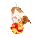 A dog interacting with a colorful snuffle ball enrichment toy with red, orange, and yellow layers.