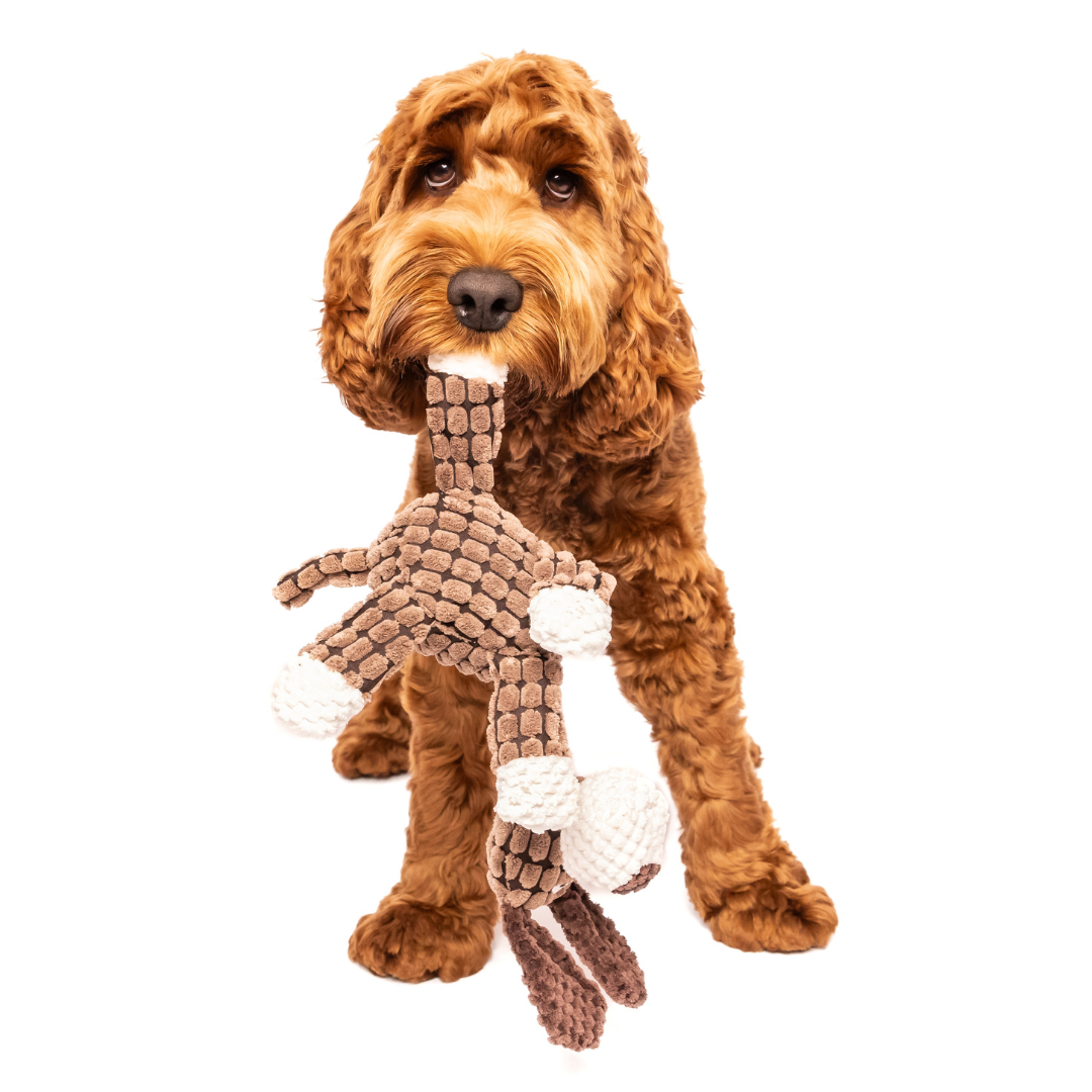 Dog carrying Cosy Corduroy Animal Rope Neck Plush Toy, fun interactive plush toy for dogs.