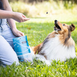 Dog catching grain free blueberry dog cookies during outdoor training session.