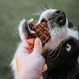 Dog enjoying Thins Emu Apple & Mint treat, natural chewy snack perfect for training rewards.