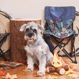 Dog indoors with HugSmart Fuzzy Friendz Campfire Plush Dog Toy, cozy and fun plush squeaky toy.