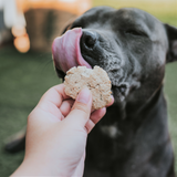 Dog licking lips ready for Fish, Coconut & Dill dog treat, healthy training snack alternative.
