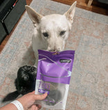 Dogs sniffing The Treatery Emu Apple & Mint Thins, nutritious minty emu dog treat option.