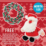 Christmas FREE Plush Santa or Wreath Rope Tug Dog Toy