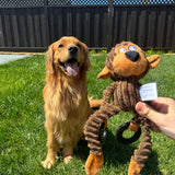 Plush Ring Animals Friends Dog Toy