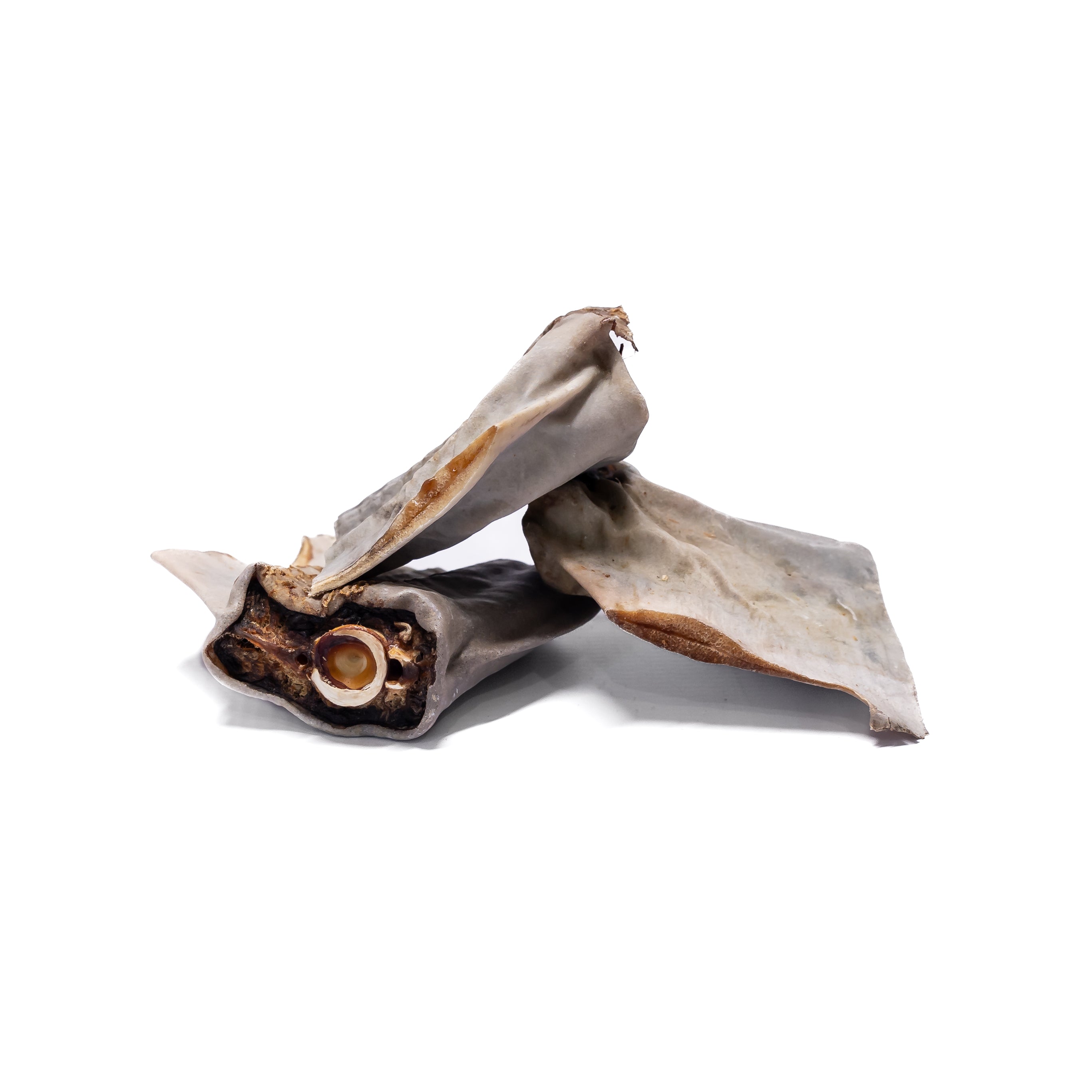 Shark Tail Chews Long Lasting Dog Chew