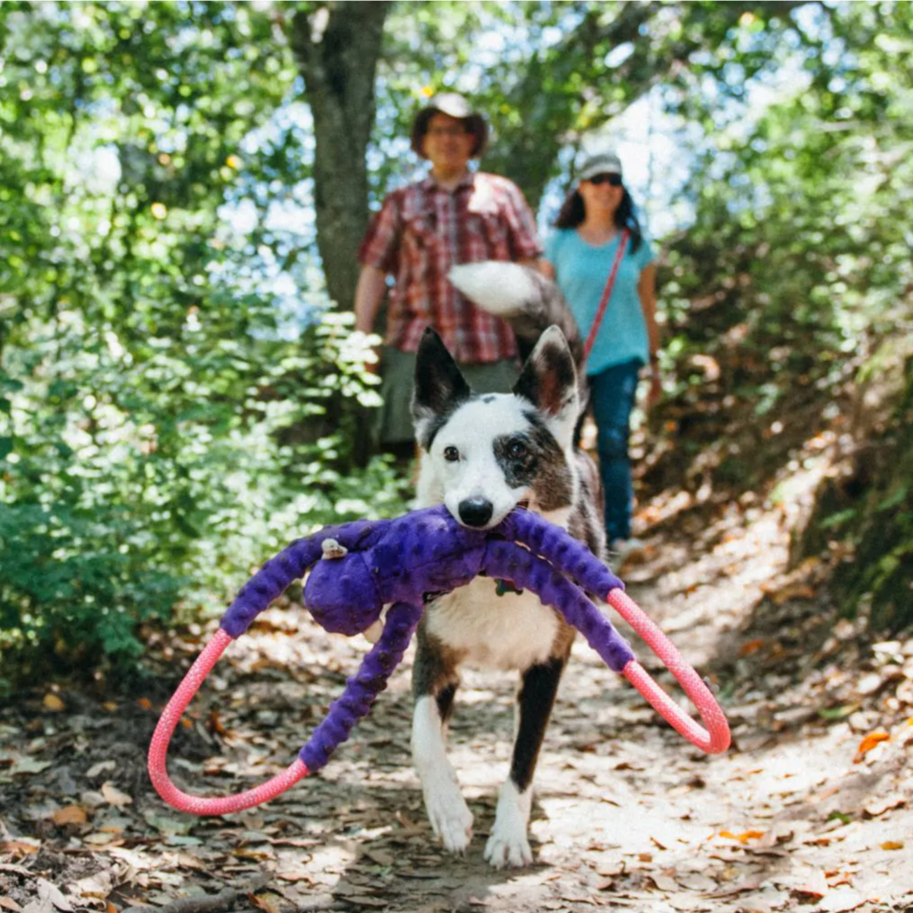 Zippy Paws RopeTugz Purple Monkey Squeaker Dog Toy with Rope