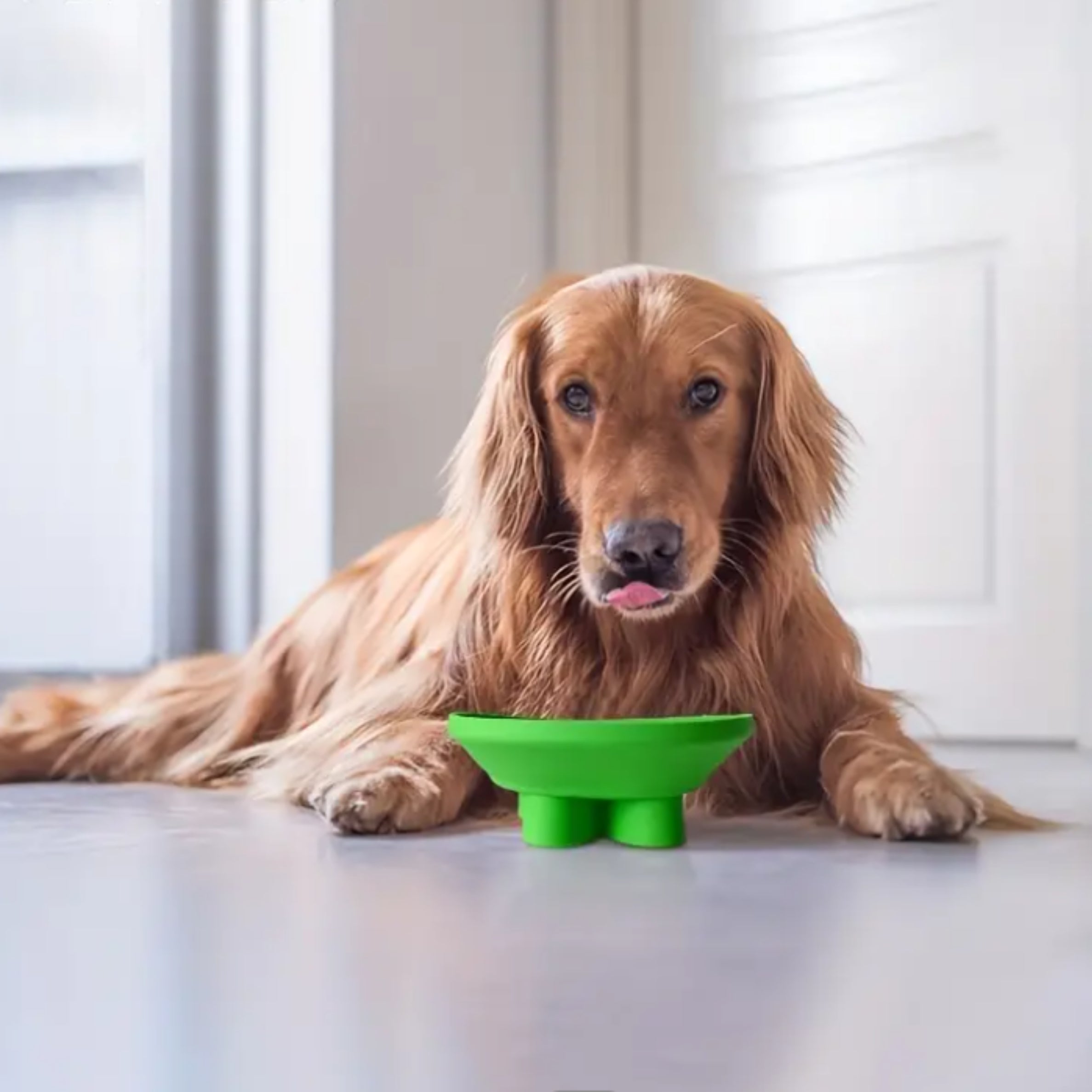 The Enriching Christmas Bundle with Dog Treats + Christmas Licky Bowl (SAVE $16)