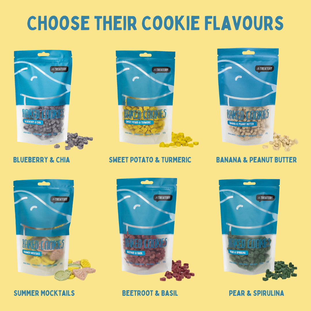 Spring Cookie & Protein Enrichment Bundle