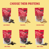 Spring Cookie & Protein Enrichment Bundle