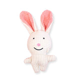 Animal Pals Plush Dog Toy - Rabbit