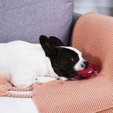 HugSmart Fuzzy Friendz Dinosaur Woof Love Rexy Interactive Dog Squeaker Toy