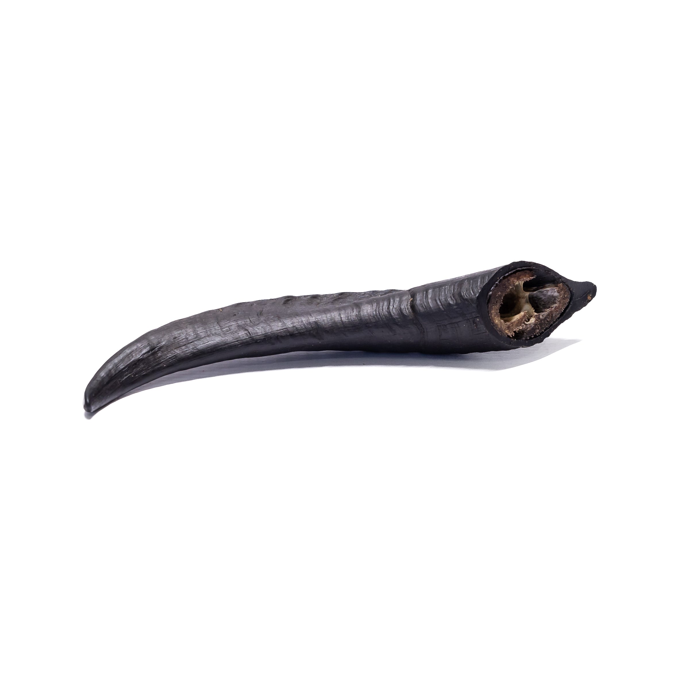 Air dried Goat Horn dog chew durable natural treat rich in minerals and perfect for dental health and strong chewers.