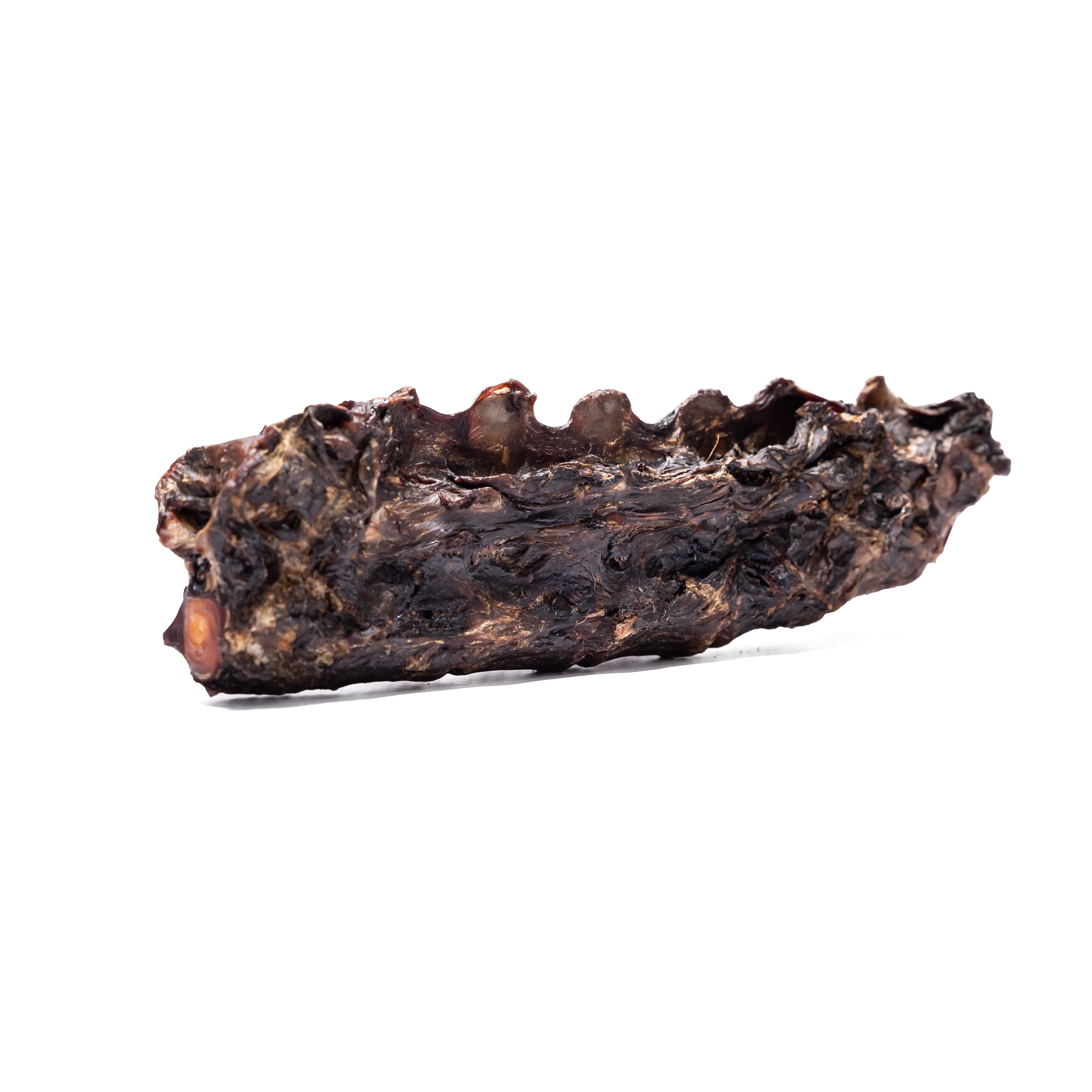 Air dried Kangaroo Tail dog chew high in protein low in fat perfect for strong chewers and dental health.