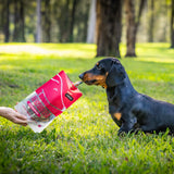 Dog eating Butterflied Sardines dog treat from The Treatery dehydrated fish snack pack.
