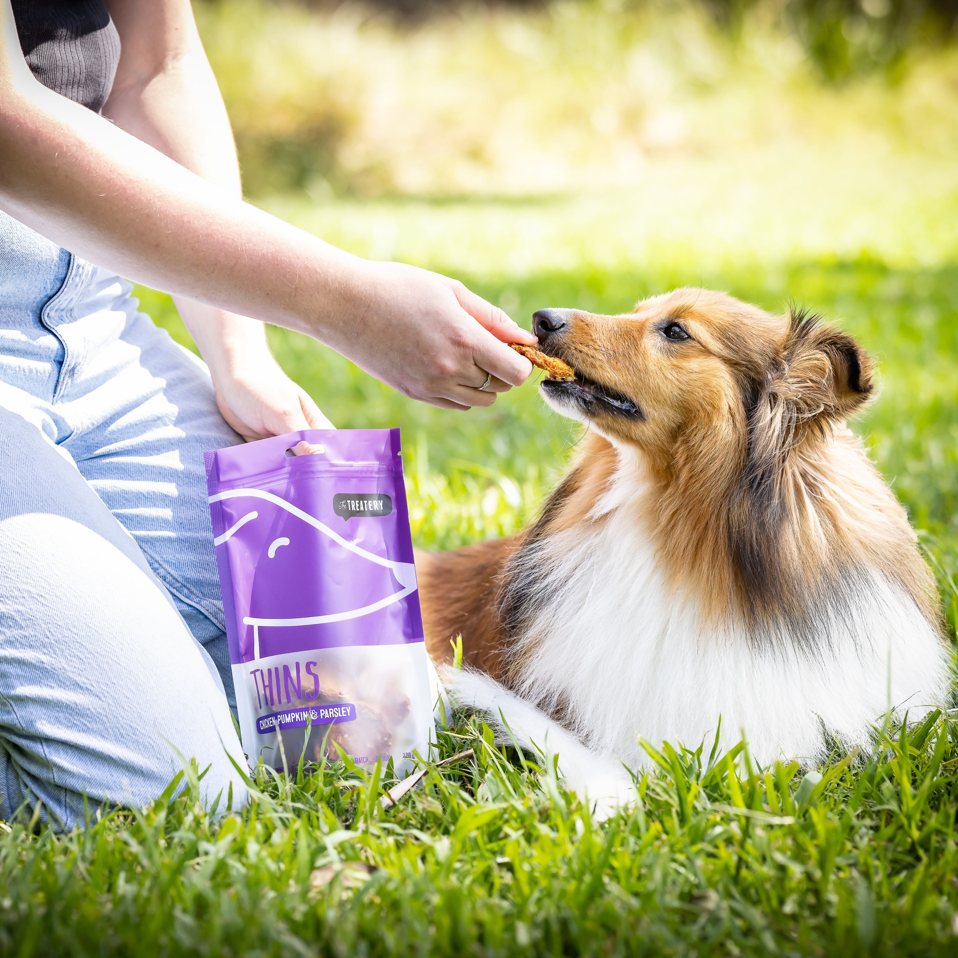 Dog eating parsley dog treats during outdoor training session.