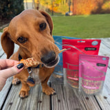 Dog enjoying dehydrated Manuka chicken dog treats with immune support benefits outdoors