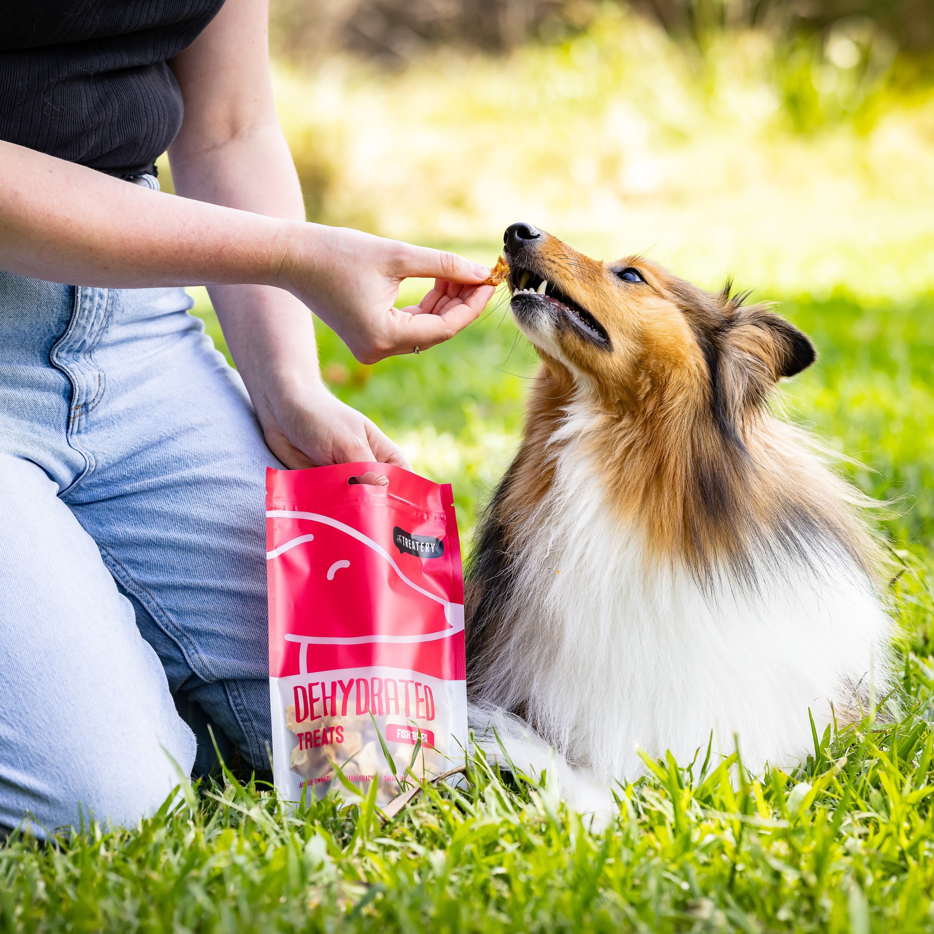 Dog enjoying dried fish dog treats from The Treatery Fish Bites.