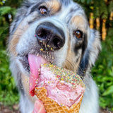 Dog happily licking ice cream cone topped with rainbow cookie meal topper blend for dogs