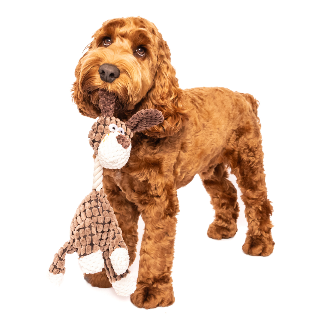 Dog holding Cosy Corduroy Animal Rope Neck Plush Dog Toy, soft and textured toy for dogs.