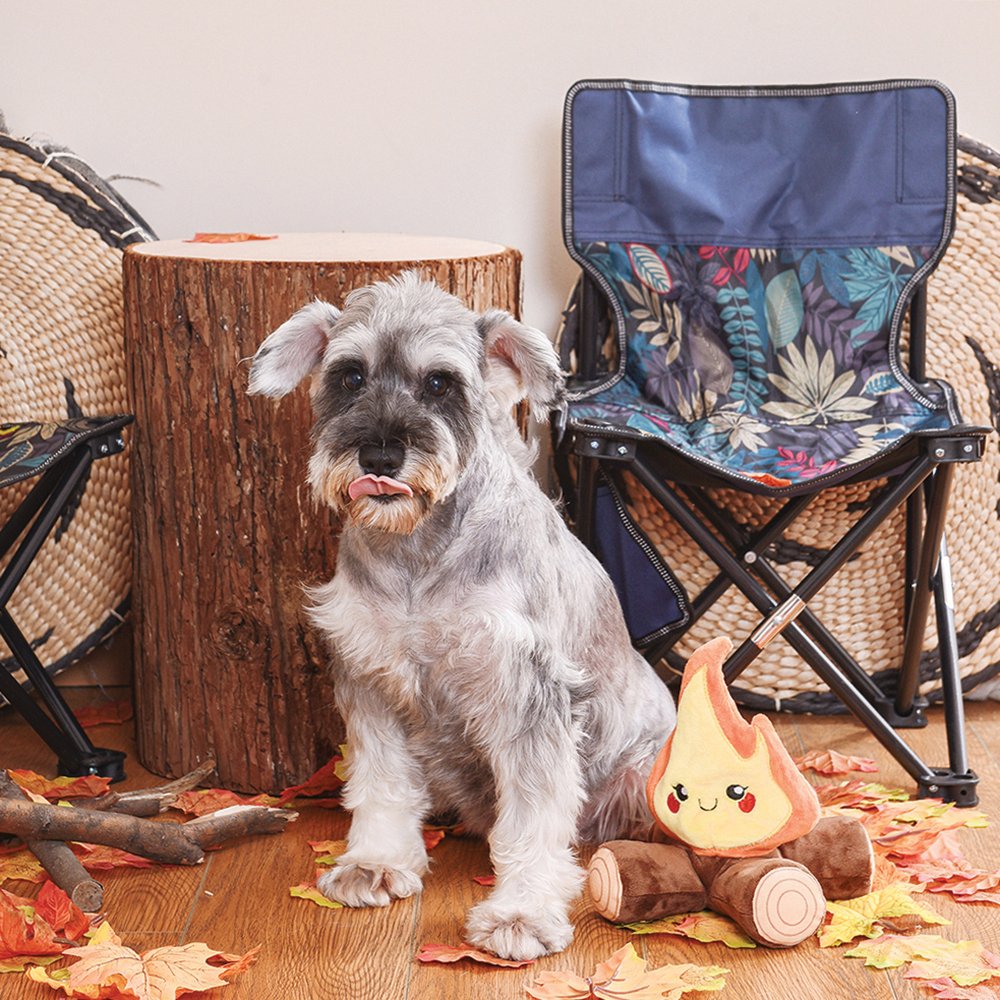 Dog indoors with HugSmart Fuzzy Friendz Campfire Plush Dog Toy, cozy and fun plush squeaky toy.