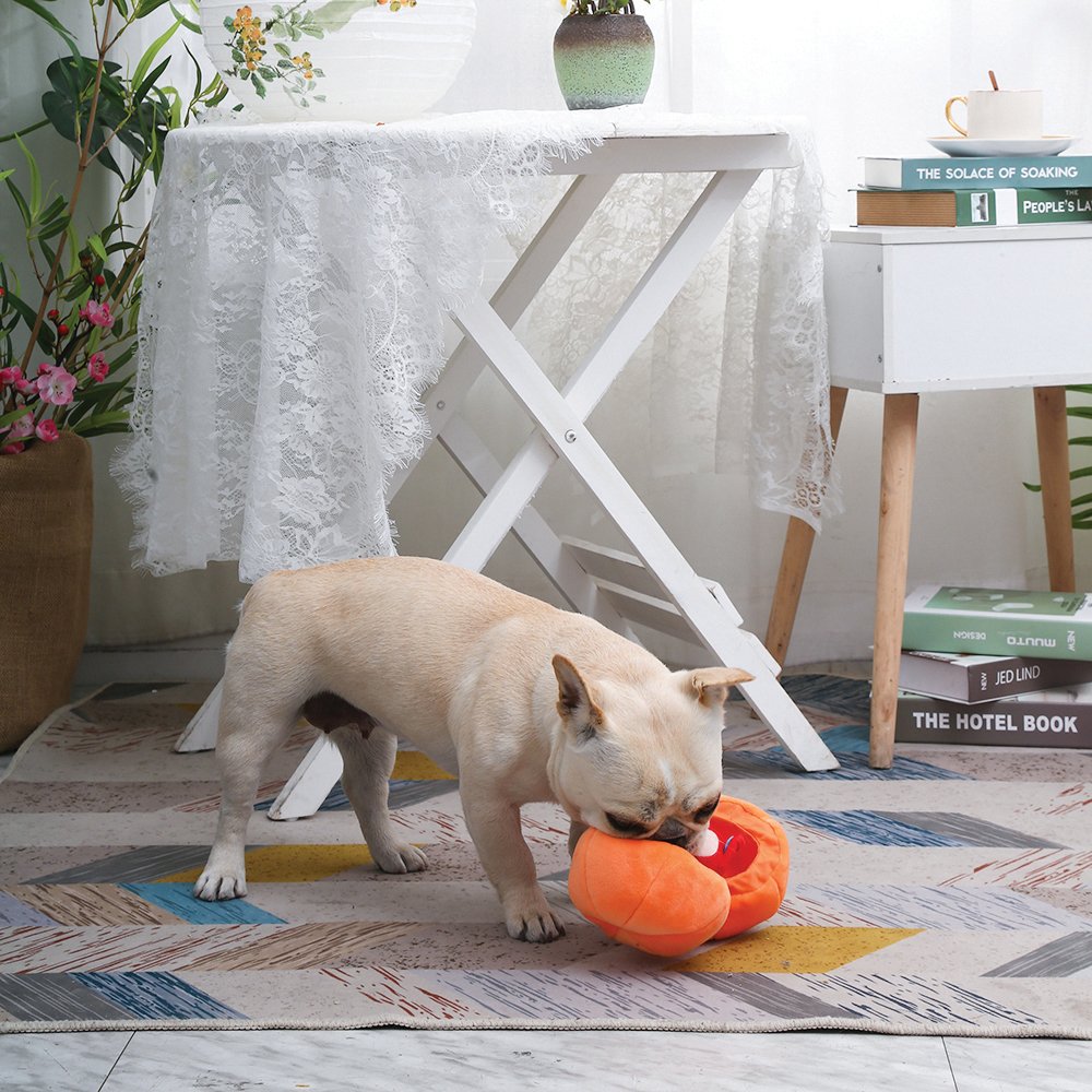 Dog interacting with HugSmart 2-in-1 Pumpkin and Fox Puzzle Plush Toy indoors.