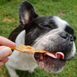 Dog licking and enjoying tasty chicken dog treats outdoors.