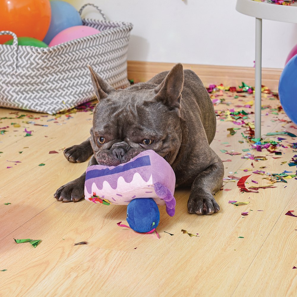 Dog playing with HugSmart Blueberry Cake Squeaky Plush Toy on party floor.