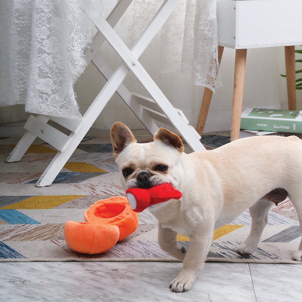 Dog playing with HugSmart Fox Plush Toy from Pumpkin Interactive Dog Toy set.