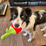 Dog playing with HugSmart Super Ball Rose Plush Squeaky Dog Toy indoors.