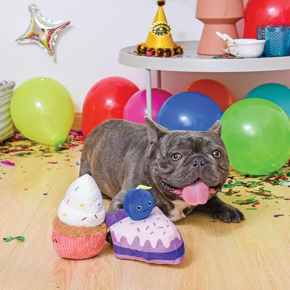 Dog posing with HugSmart Blueberry Cake and Cupcake Plush Dog Toys among balloons.