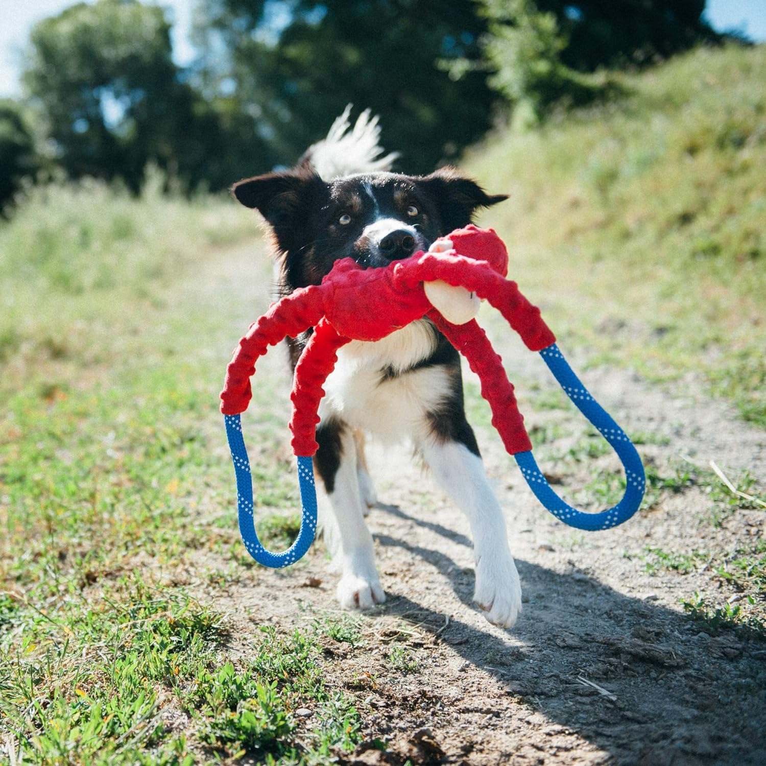 Dog running with ZippyPaws RopeTugz Pink Monkey Squeaky Rope Toy in mouth.