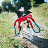 Dog running with ZippyPaws RopeTugz Pink Monkey Squeaky Rope Toy in mouth.