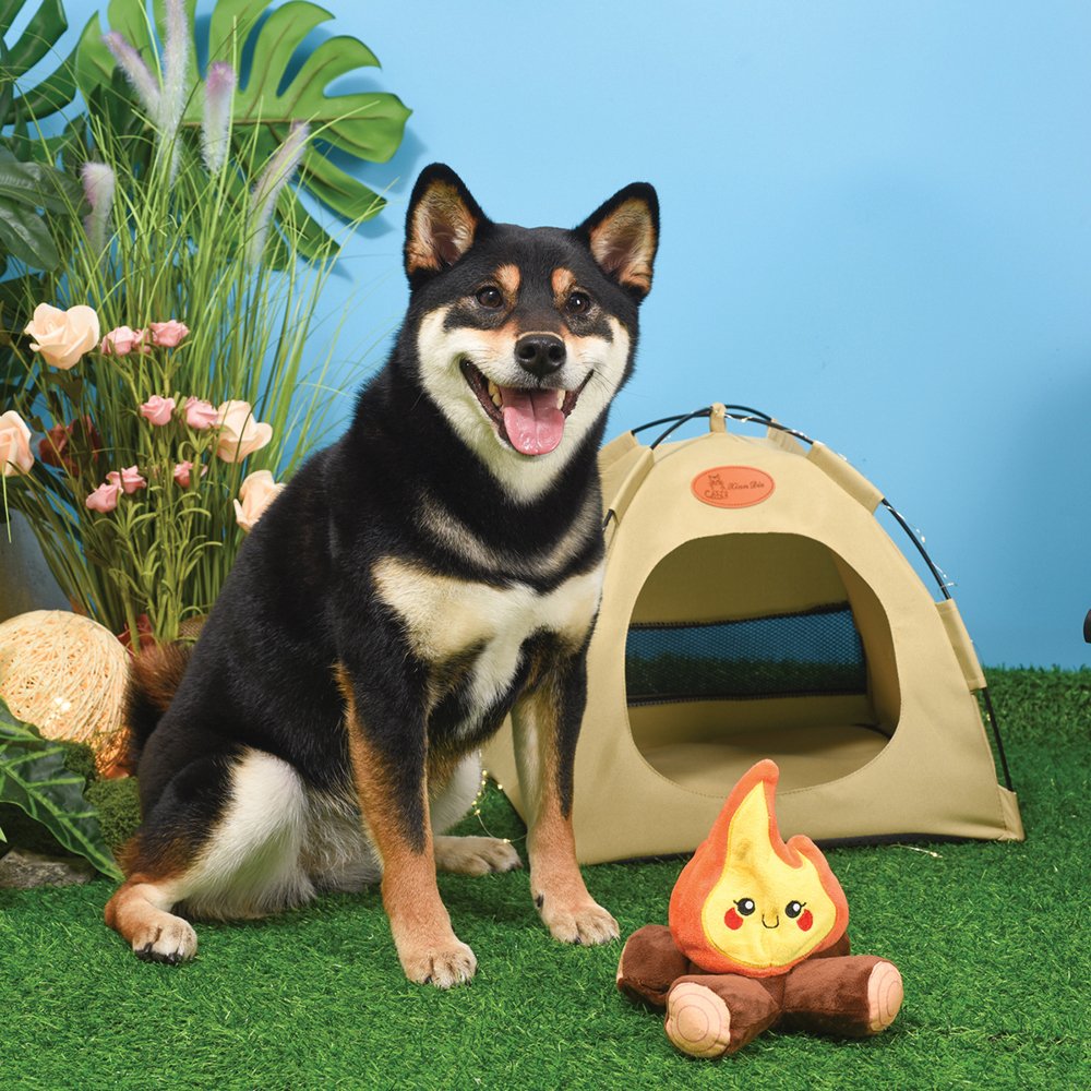 Dog sitting beside HugSmart Fuzzy Friendz Campfire Plush Dog Toy, adorable campfire play toy.