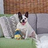 Dog sitting beside HugSmart Fuzzy Friendz Dinosaur Egg Plush Dog Toy, fun interactive toy.