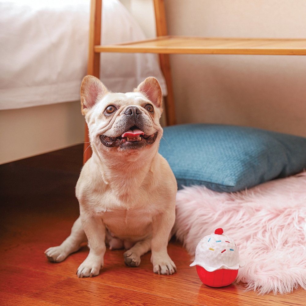 Dog sitting beside Super Ball Cupcake Plush Dog Toy with big squeaker ball, fun playtime toy.