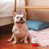 Dog sitting beside Super Ball Cupcake Plush Dog Toy with big squeaker ball, fun playtime toy.