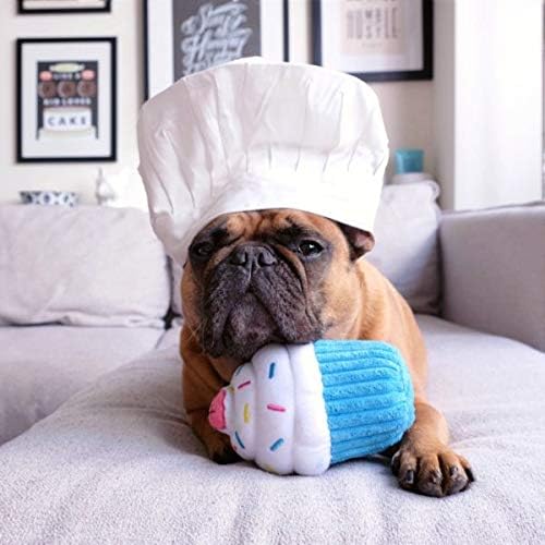 Dog wearing chef hat playing with ZippyPaws Cupcake Squeaky Plush Toy.