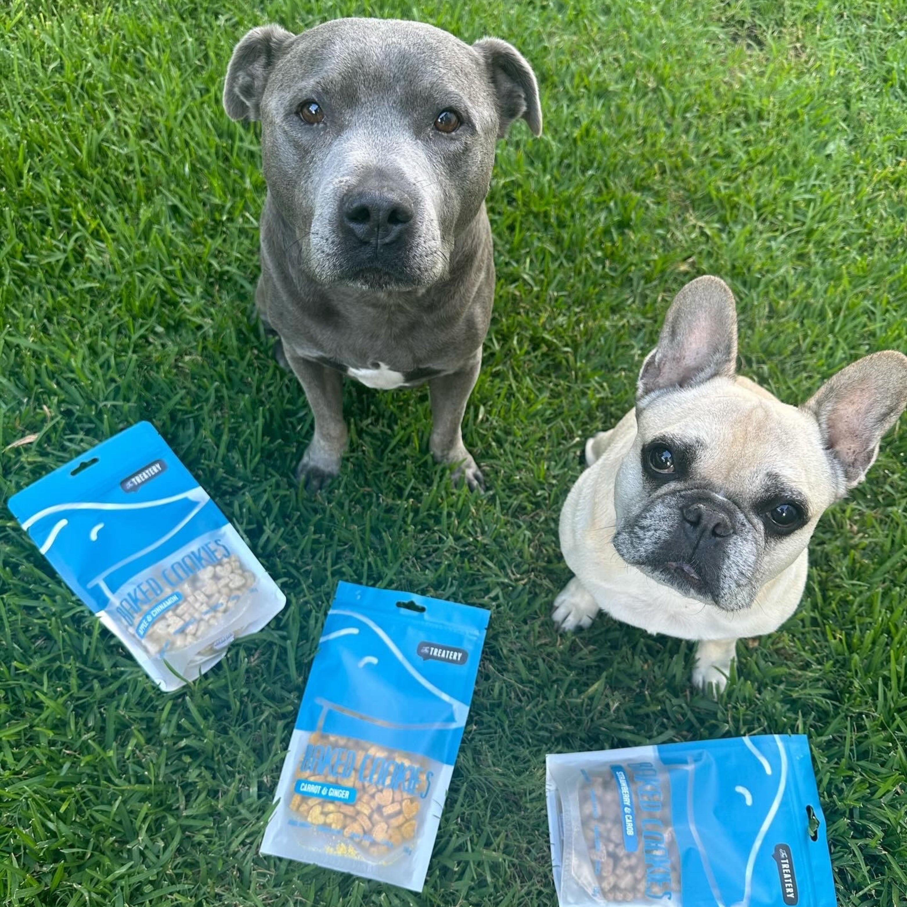 Dogs waiting for apple cinnamon dog treats, tasty dog treats with cinnamon for all breeds.