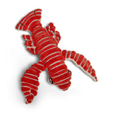 Corduroy Lobster & Lizard Squeaky Plush Dog Toy