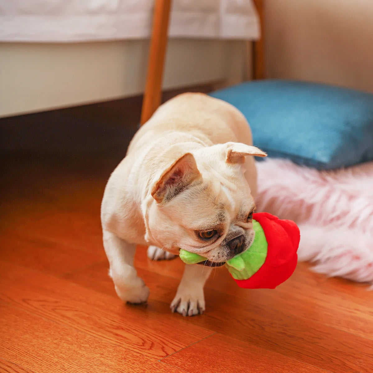 Small dog holding HugSmart Rose Squeaky Plush Toy for interactive playtime.