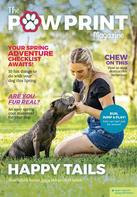Magazine Signup – The Treatery