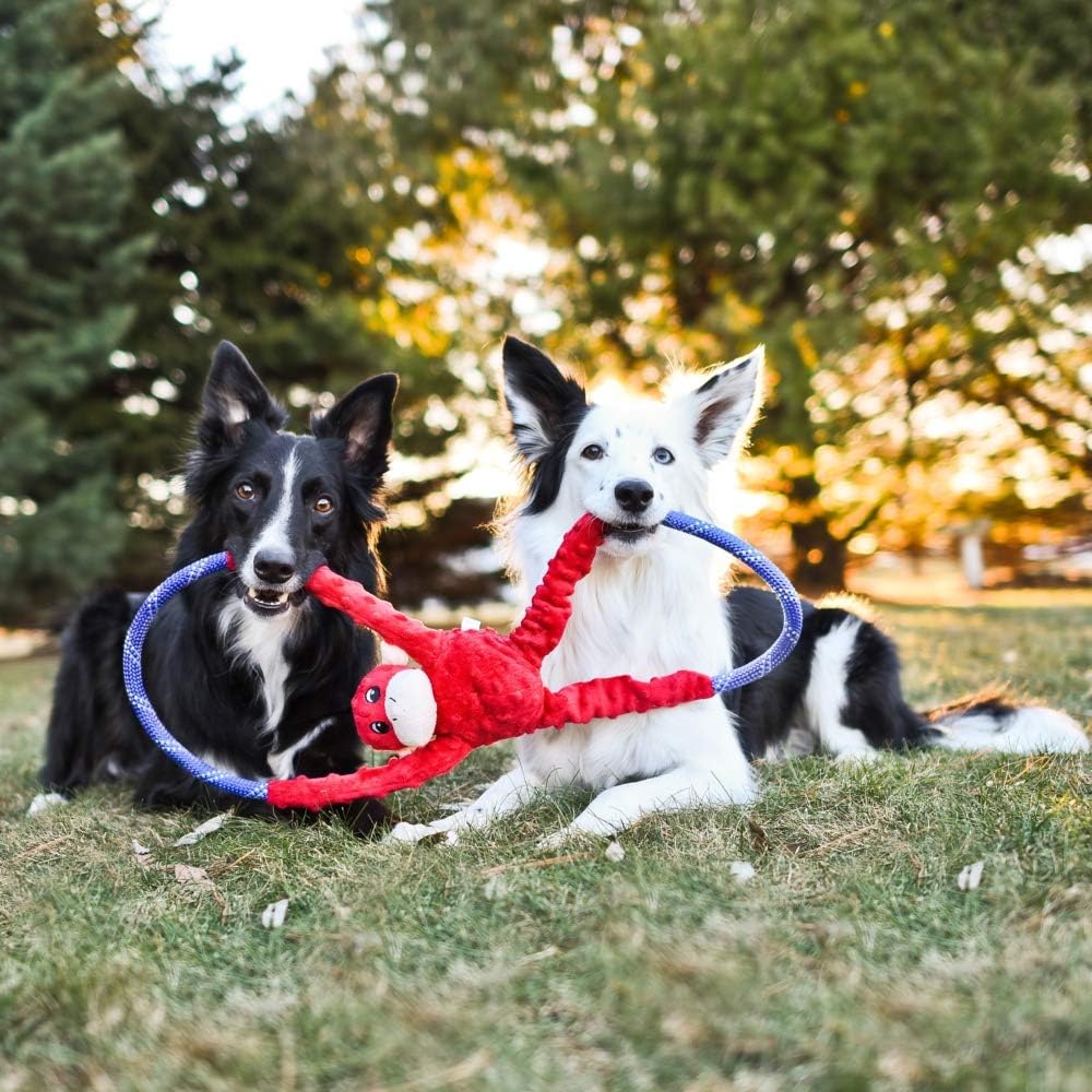 Two dogs playing tug-of-war with ZippyPaws RopeTugz Pink Monkey Dog Toy outdoors.