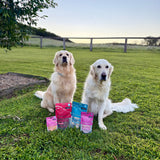 Two dogs sitting on grass with pet food packages in front of them.
