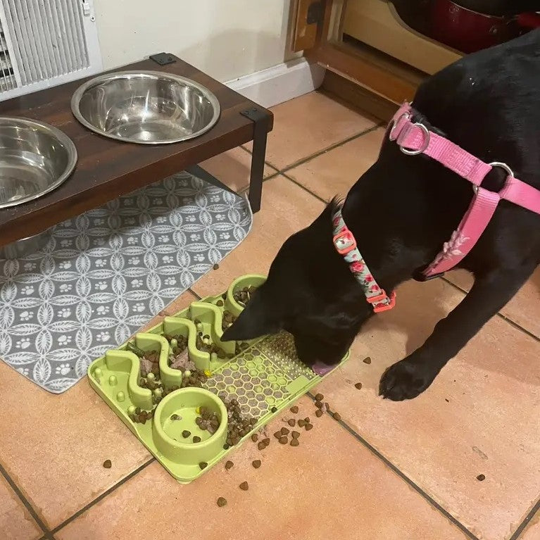 Spring Cookie & Protein Enrichment Bundle