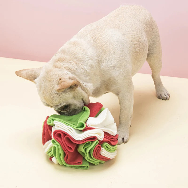 Spring Cookie & Protein Enrichment Bundle